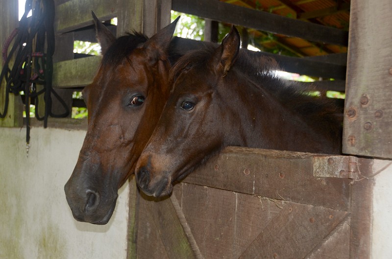 DSC_3010.jpg - Mommy and baby